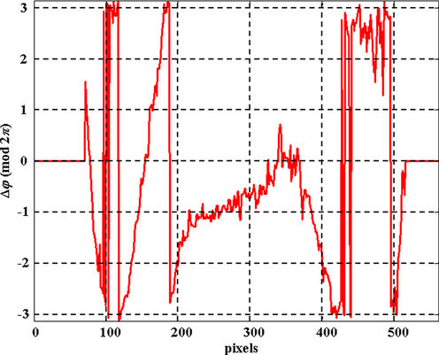 
   
    Figure 4 :wrapped phase (from an experiment). 
   
  