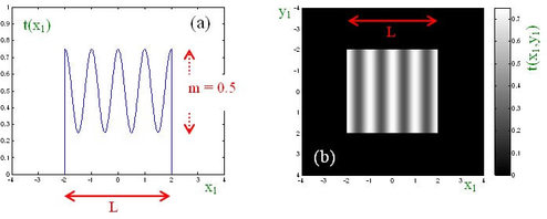 
   
    Image EC1 - (a) Evolution de la fonction transmittance d'un réseau sinusoïdal en amplitude ; (b) image de ce réseau limité par une ouverture carré.
   
  