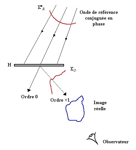 
   
    Figure 9 : Principe de restitution d'un hologramme par transmission, visualisation de l'image réelle
   
  