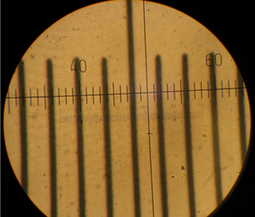 
   
    Figure 18 : Image vue derrière la lunette lors de la mesure de la puissance du microscope
   
  