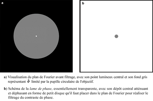 
   
    Figure 13 : principe du filtrage des fréquences spatiales du contraste de phase en éclairage cohérent 
   
  