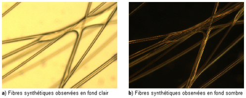 
   
    Figure 6 : Fibres synthétiques observées en fond clair et noir 
   
  