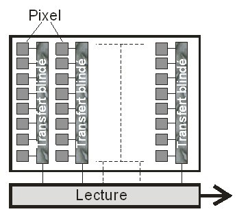 
   
    Figure 11 : Architecture d'un capteur à transfert interligne
   
  