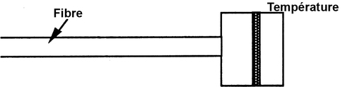 
   
    Figure 24 : Thermomètre à fibre
   
  